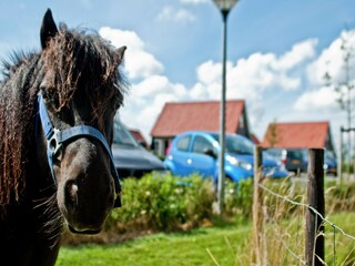 Vakantiepark Wemeldinge Buitenaudio-opname 10