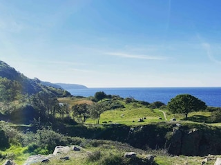 Ferienhaus Svaneke Außenaufnahme 9