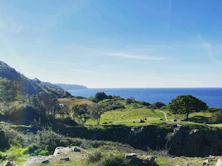 Ferienhaus Svaneke Außenaufnahme 12