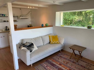 Ferienhaus Knebel  19