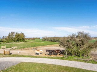 Ferienhaus Vordingborg Außenaufnahme 1