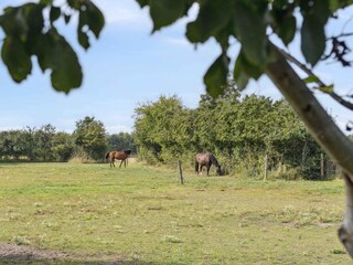 Ferienhaus Vordingborg Außenaufnahme 8