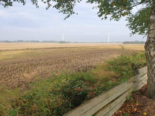 Ferienhaus Sydals Außenaufnahme 12