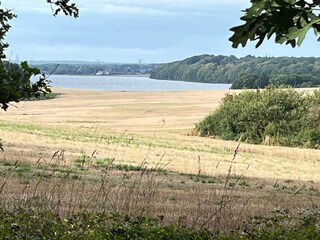 Ferienhaus Djursland Außenaufnahme 9