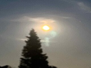 Ferienhaus Djursland Außenaufnahme 8