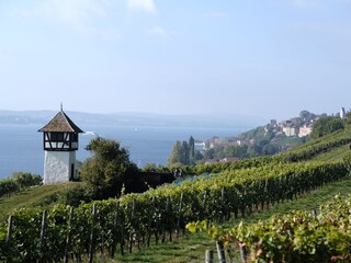 Bodensee bei Meersburg