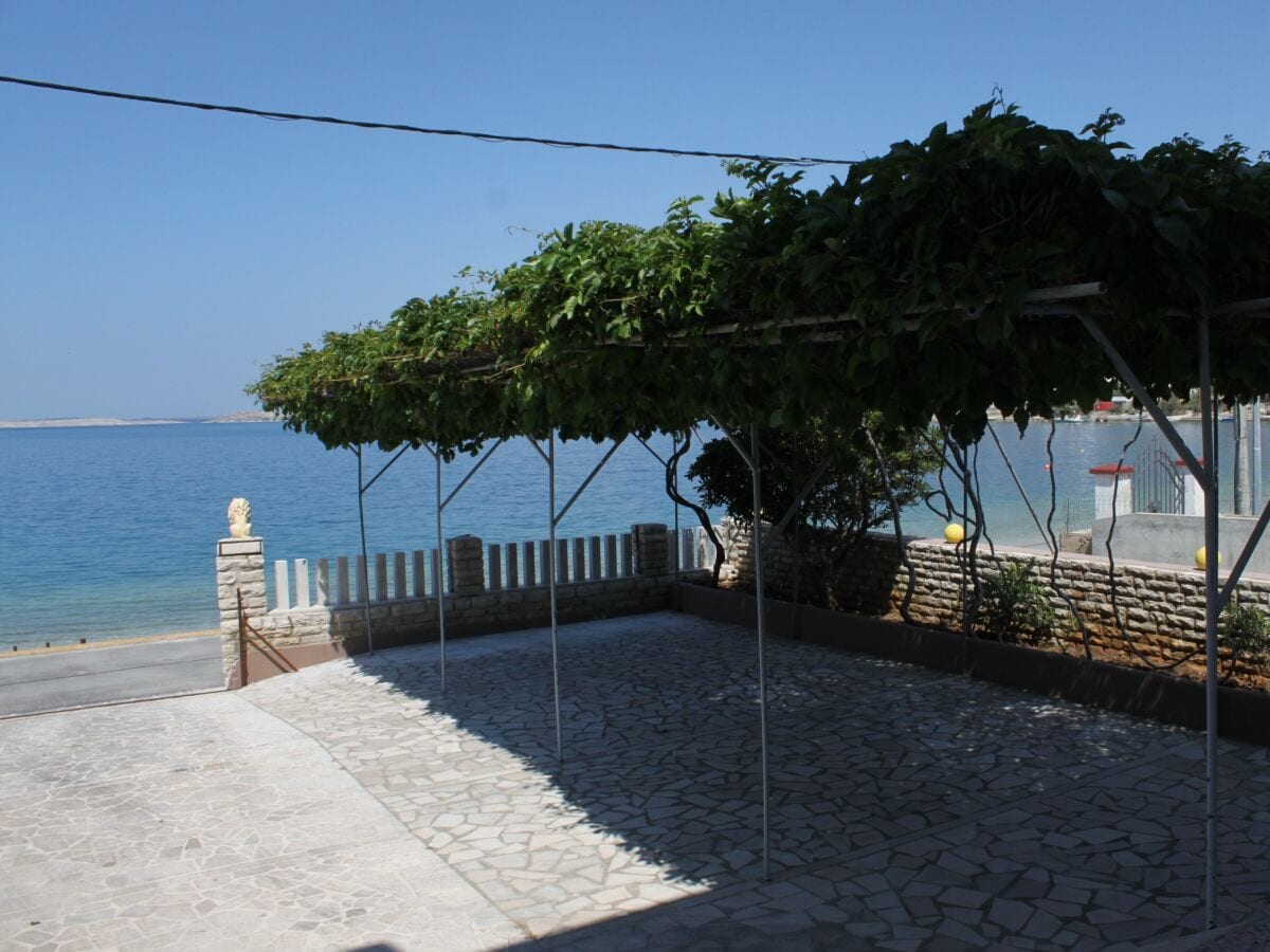 Apartment Metajna 13