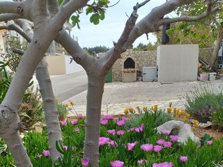 Apartment Povljana  2