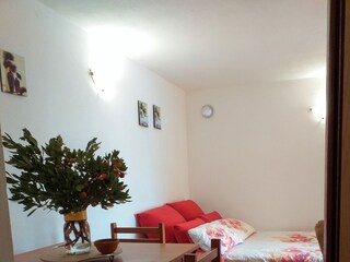 Apartment Povljana  8
