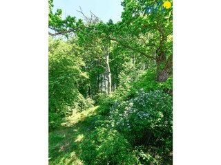 Appartamento per vacanze Binz Registrazione all'aperto 4