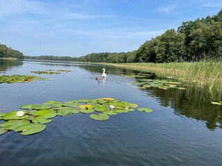 Holiday house Lindow (Mark) Environment 24