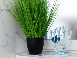 Appartement Bensersiel Équipement 35