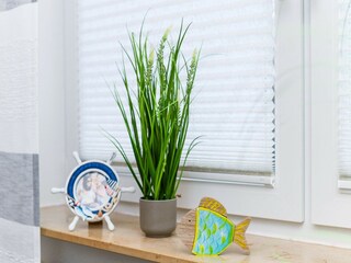 Apartamento Bensersiel Características 13