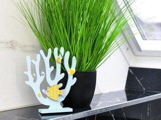 Apartamento Bensersiel Características 46