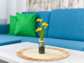 Apartment Bensersiel Features 7