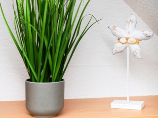 Appartement Bensersiel Kenmerken 18