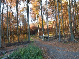 Holiday house Kemmenau Environment 33