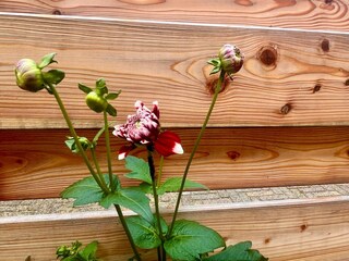 Casa per le vacanze Welt  31