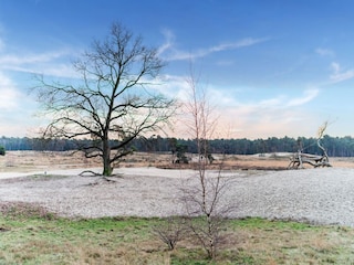 Villa Heusden Ambiente 38