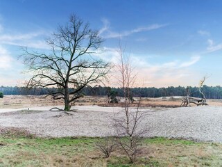 Villa Heusden Omgeving 38