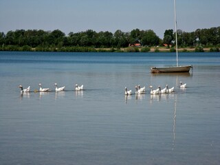 Parco vacanze Heel Ambiente 17