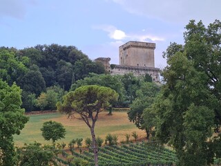 Ferienhaus Sarteano Umgebung 8