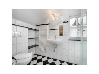 Tageslicht-Badezimmer mit Dusche