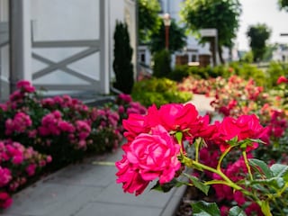 Liebevoll angelegter Garten