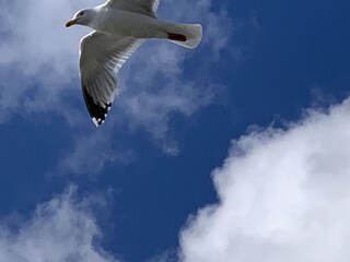 Ferienwohnung Norden Umgebung 39