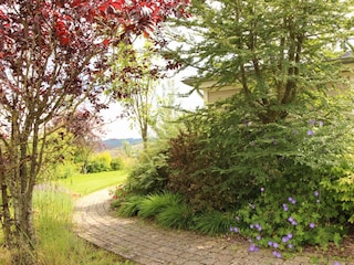 Ferienhaus Brilon Außenaufnahme 5