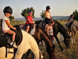 Ranch Medvidovic in Imotski
