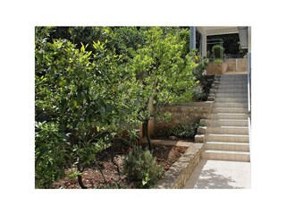 Apartment Zastražišće  14