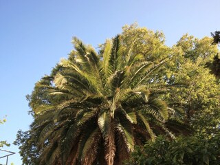 Holiday house Veli Losinj  4