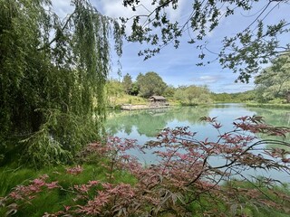 Gemeinsamer Nachlass