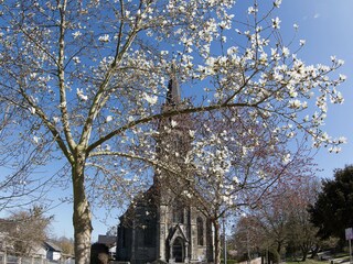 St. Sturmius in Rinteln