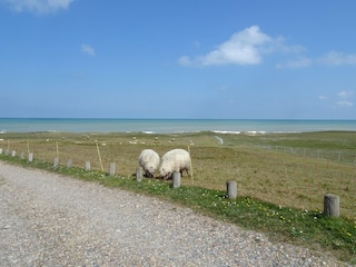 Appartamento Saint-Côme-de-Fresné Ambiente 11