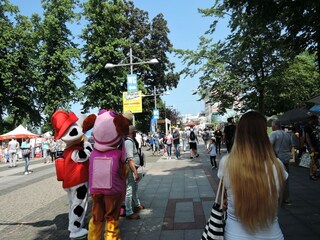 Ferienpark Kołczewo Umgebung 26