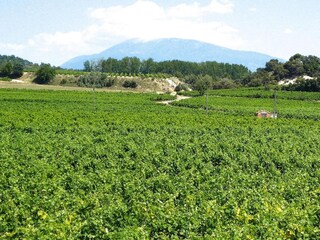 Apartamento Laudun-l’Ardoise Entorno 18