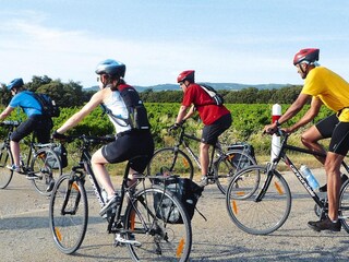 Appartement Laudun-l’Ardoise Environnement 19