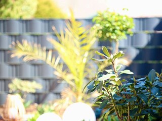 Apartamento de vacaciones Minsen Grabación al aire libre 17