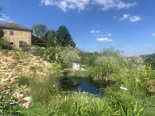 Bed & Breakfast Domme Außenaufnahme 7