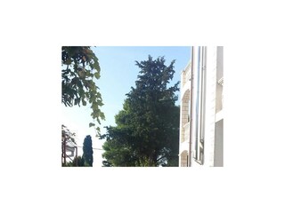 Apartment Okrug Gornji  5