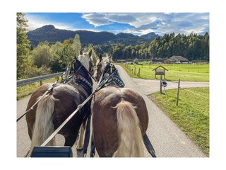 Vakantieappartement Oberstdorf Omgeving 13