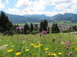 Apartamento de vacaciones Oberstdorf Entorno 10