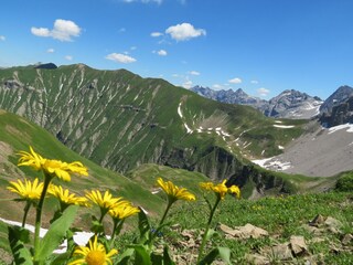 Oberstdorfer Berge...