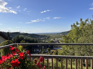Aussicht  vom Balkon