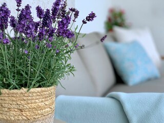 Loungesofa auf eurem Balkon