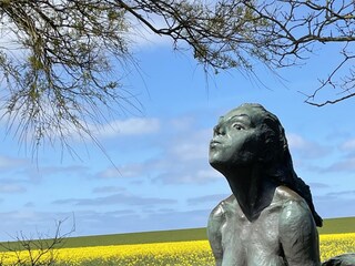 Seewiefken in Minsen