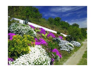 Vakantiehuis Sayalonga Kenmerken 45