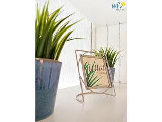 Appartement de vacances Borkum Enregistrement extérieur 16